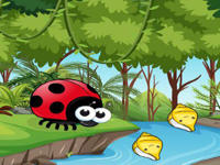 Play Ladybug Crosses The River - Free Online Escape Game