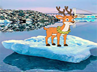 Naive Reindeer Iceland Escape