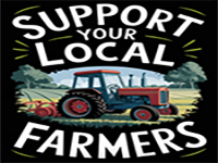 Play Easy Room Escape 255 - Free Online Escape Game