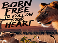 Play Easy Room Escape 310 - Free Online Escape Game