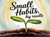 Play Easy Room Escape 333 - Free Online Escape Game