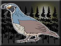 Play Save The Quail From Cage - Free Online Escape Game