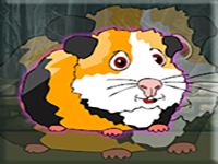 Play Release The Cavia Porcellus From Cage - Free Online Escape Game