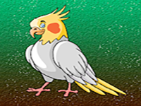 Play Release The Cockatiel Bird From Cage - Free Online Escape Game