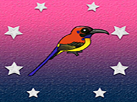 Play Release The Sunbird From Cage - Free Online Escape Game