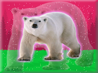 Play Release Polar Bear From Cage - Free Online Escape Game