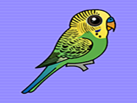 Play Help The Budgerigar From Cage - Free Online Escape Game