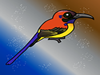 Play Help The Sunbird From Cage - Free Online Escape Game