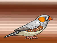 Play Help The Australian Zebra Finch - Free Online Escape Game