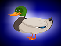 Play Rescue The Mallard Duck In Cage - Free Online Escape Game