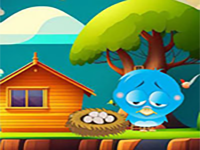 Play Rescue The Bird Eggs - Free Online Escape Game