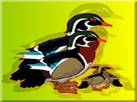 Play Rescue The Wood Duck Family - Free Online Escape Game
