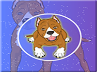 Play Rescue The Staffy Dog - Free Online Escape Game