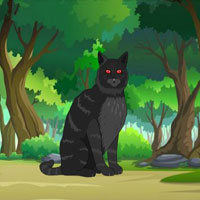 Rescue Forest Black Cat