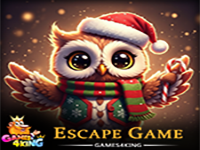 Play Christmas Owl Escape - Free Online Escape Game