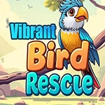 Vibrant Bird Rescue