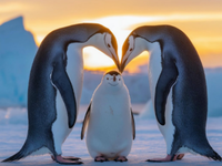 Play Kids Room Escape 285  - Free Online Escape Game