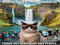 Play Kids Room Escape 336 - Free Online Escape Game