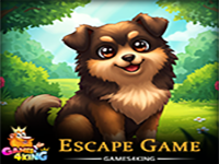 Play Find Cute Pet Dog Escape - Free Online Escape Game