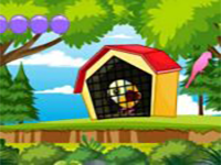 Play Wings Unbound - Free Online Escape Game