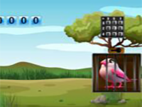 Play Pink Plumage Escape - Free Online Escape Game