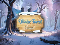 Winter Forest Escape