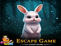 Play Fluffy Pink Rabbit Rescue - Free Online Escape Game