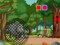 Play Snout Net Escape - Free Online Escape Game