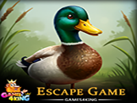 Play Pond Duck Rescue - Free Online Escape Game