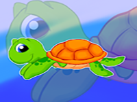 Play Forest Little Turtle Escape - Free Online Escape Game