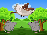 Play Sparrow Meets Crow Buddies - Free Online Escape Game
