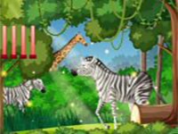 Play Free The Raccoon - Free Online Escape Game