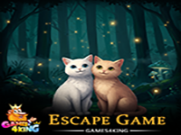 Play Friendly Cat Duo Escape - Free Online Escape Game