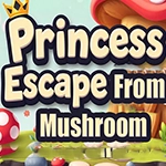 Princess Escape from Mushroom House