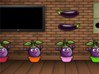 Brinjal Great Escape