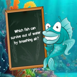 Play Escape The Shark Cage - Free Online Escape Game