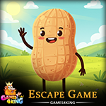 Play Lucky Peanut Escape - Free Online Escape Game