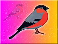 Play Eurasian Bullfinch Rescue - Free Online Escape Game