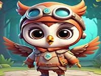 Owl Outfit Kid Rescue