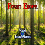 Forest Escape