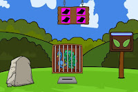 Play Escape the Peacock from the Cage - Free Online Escape Game