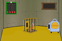 Play Release the Hoatzin from the Cage - Free Online Escape Game